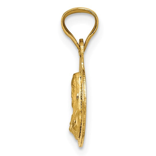 14kt Yellow Gold Polished D/C Sagrado Corazon Circle Pendant