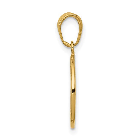 14KT Yellow Gold Gold Satin And Polished Saint Francis Medal Pendant