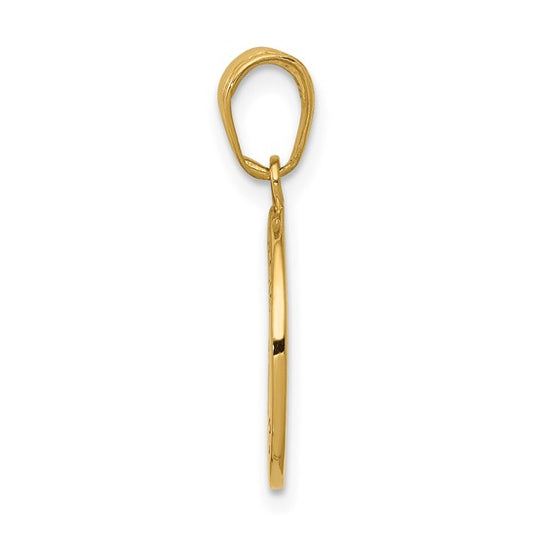 14KT Yellow Gold Gold Satin And Polished Saint Francis Medal Pendant