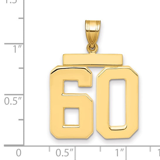 14kt Yellow Gold Large Polished Number 60 Charm