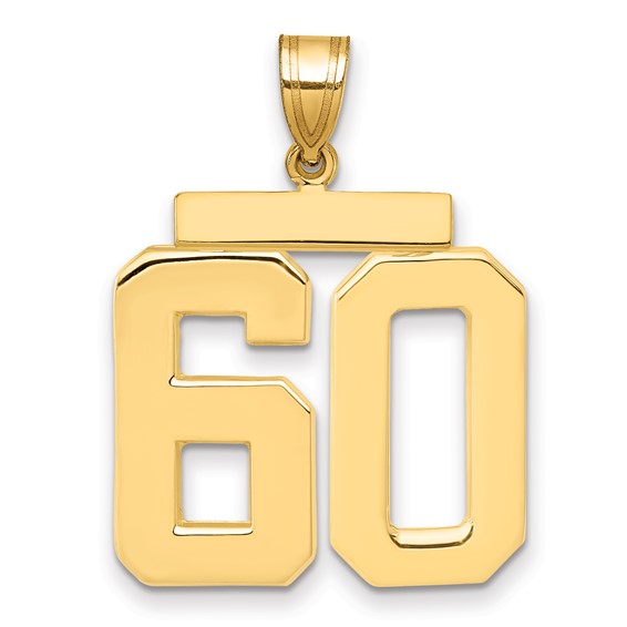 14kt Yellow Gold Large Polished Number 60 Charm
