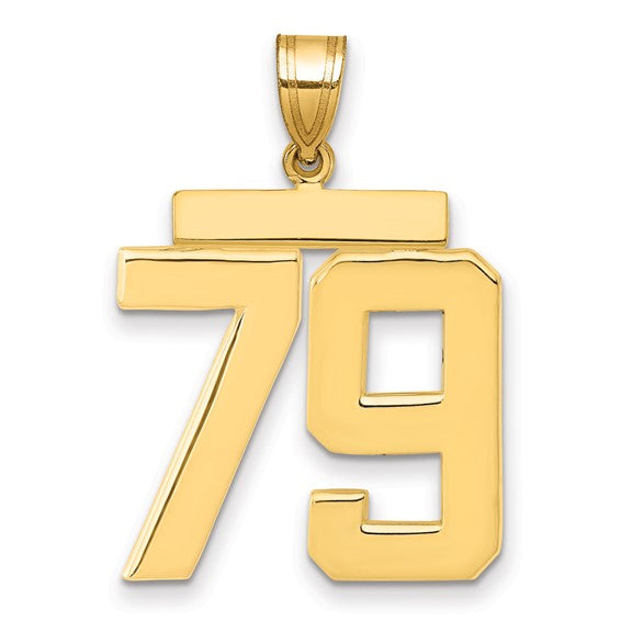 14kt Yellow Gold Large Polished Number 79 Charm