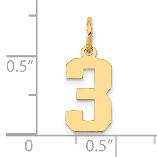 14kt Yellow Gold Small Polished Number 3 Charm
