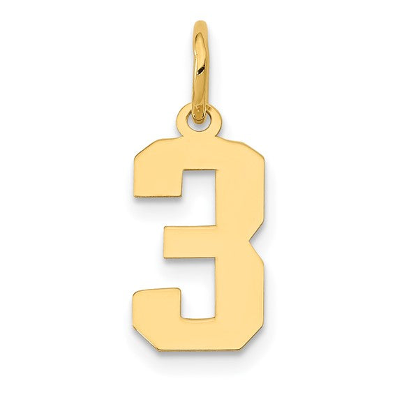14kt Yellow Gold Small Polished Number 3 Charm