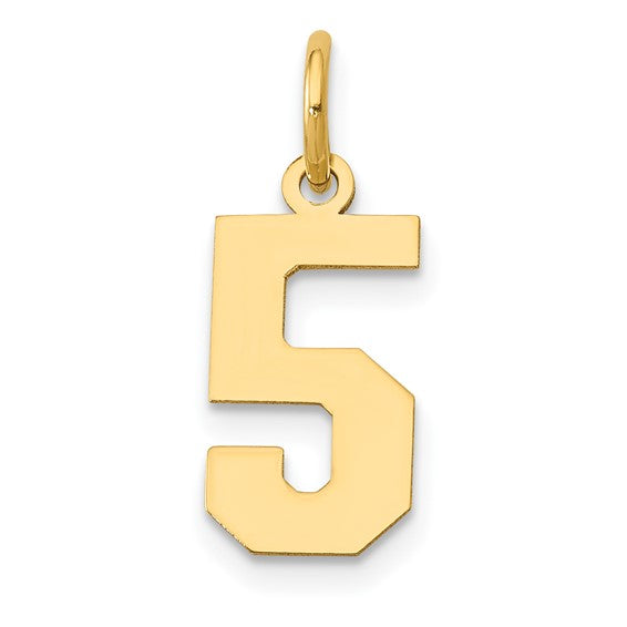 14kt Yellow Gold Small Polished Number 5 Charm