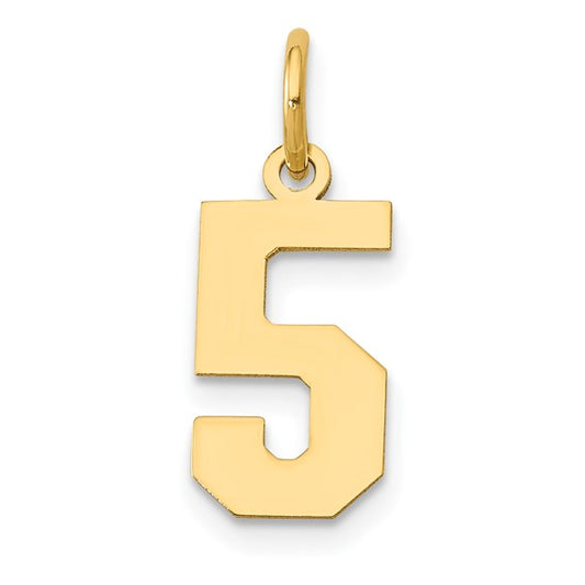 14kt Yellow Gold Small Polished Number 5 Charm