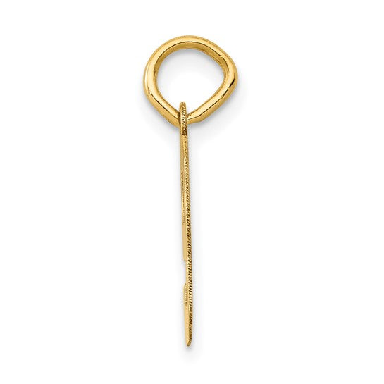 14kt Yellow Gold Small Polished Number 9 Charm