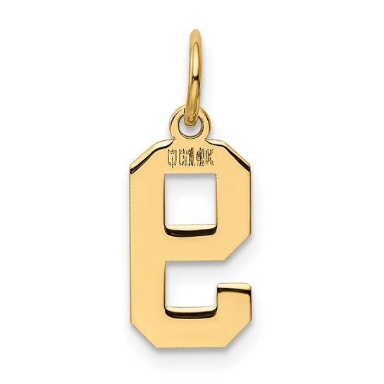 14kt Yellow Gold Small Polished Number 9 Charm