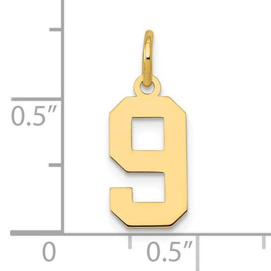 14kt Yellow Gold Small Polished Number 9 Charm