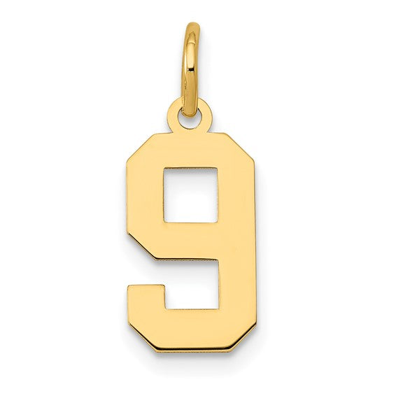 14kt Yellow Gold Small Polished Number 9 Charm