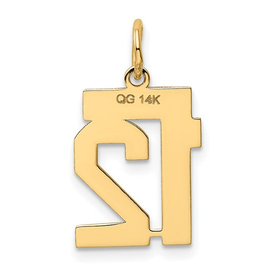 14kt Yellow Gold Small Polished Number 12 Charm