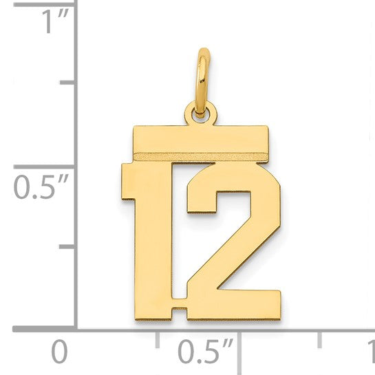 14kt Yellow Gold Small Polished Number 12 Charm