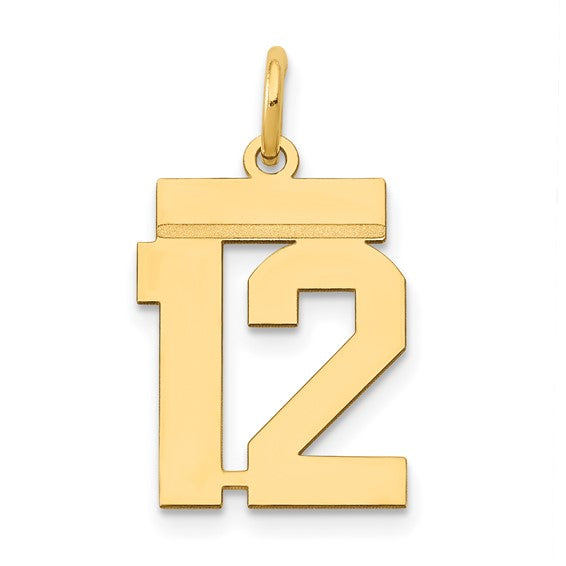 14kt Yellow Gold Small Polished Number 12 Charm