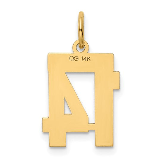 14kt Yellow Gold Small Polished Number 14 Charm
