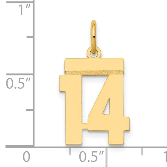 14kt Yellow Gold Small Polished Number 14 Charm