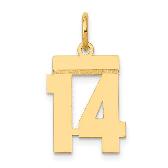 14kt Yellow Gold Small Polished Number 14 Charm