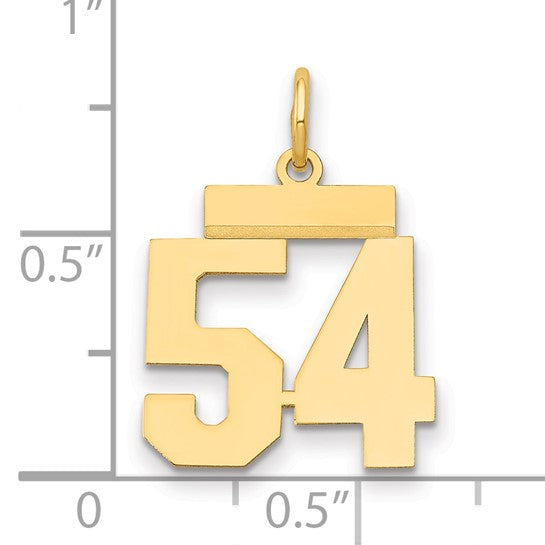 14kt Yellow Gold Small Polished Number 54 Charm