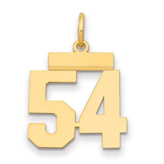 14kt Yellow Gold Small Polished Number 54 Charm