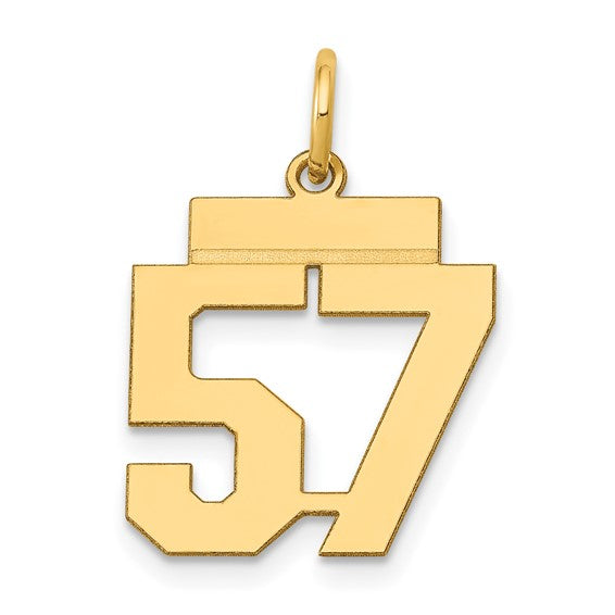 14kt Yellow Gold Small Polished Number 57 Charm
