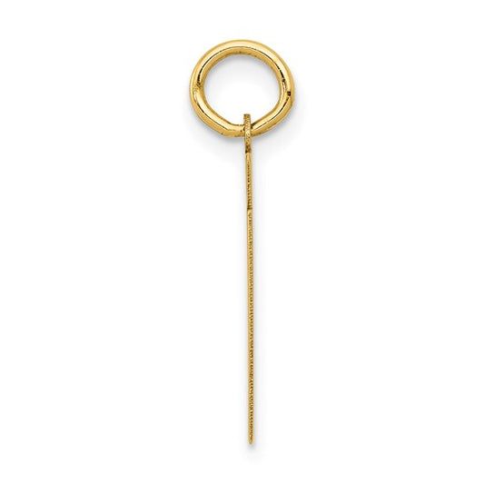14kt Yellow Gold Small Polished Number 61 Charm