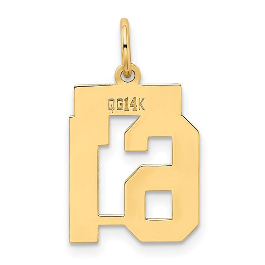 14kt Yellow Gold Small Polished Number 61 Charm