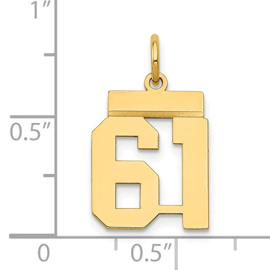 14kt Yellow Gold Small Polished Number 61 Charm