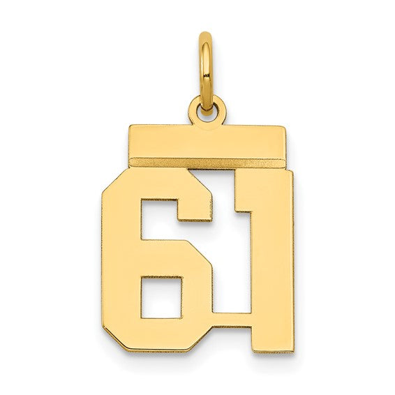 14kt Yellow Gold Small Polished Number 61 Charm