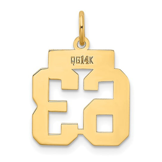 14kt Yellow Gold Small Polished Number 63 Charm