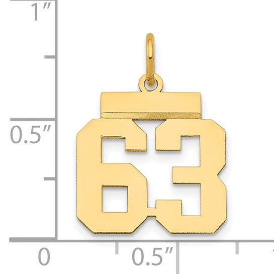14kt Yellow Gold Small Polished Number 63 Charm
