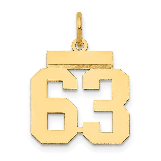 14kt Yellow Gold Small Polished Number 63 Charm