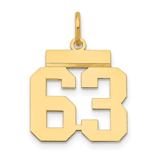 14kt Yellow Gold Small Polished Number 63 Charm