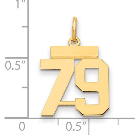 14kt Yellow Gold Small Polished Number 79 Charm