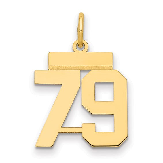 14kt Yellow Gold Small Polished Number 79 Charm