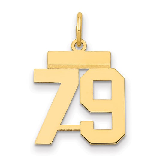 14kt Yellow Gold Small Polished Number 79 Charm