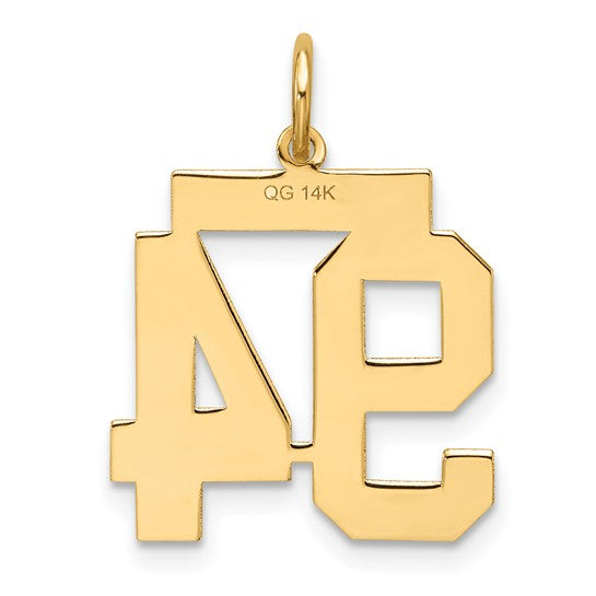 14kt Yellow Gold Medium Satin Number 94 Charm