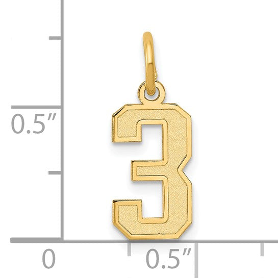 14kt Yellow Gold Small Satin Number 3 Charm