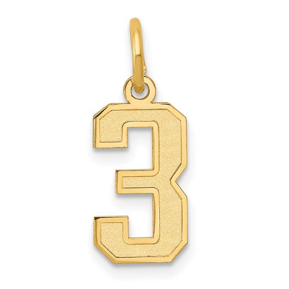 14kt Yellow Gold Small Satin Number 3 Charm