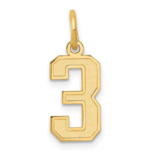 14kt Yellow Gold Small Satin Number 3 Charm