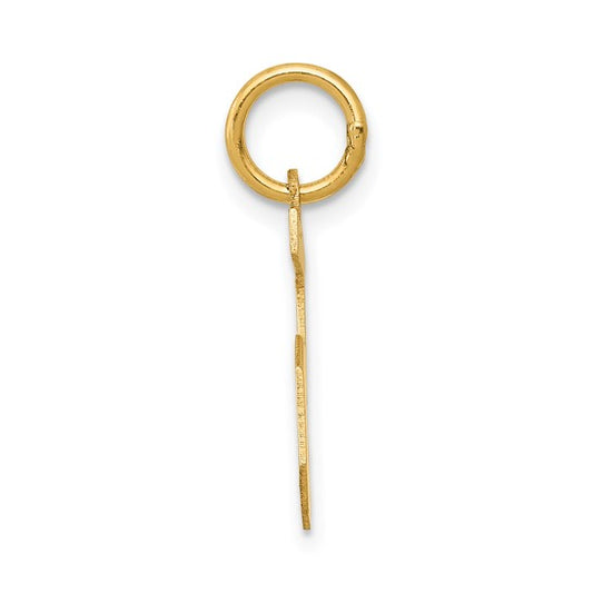14kt Yellow Gold Small Satin Number 5 Charm