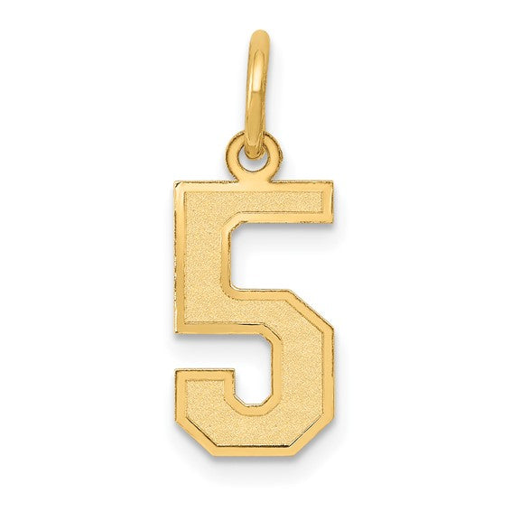 14kt Yellow Gold Small Satin Number 5 Charm