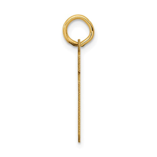 14kt Yellow Gold Small Satin Number 19 Charm