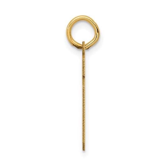 14kt Yellow Gold Small Satin Number 19 Charm