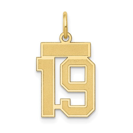 14kt Yellow Gold Small Satin Number 19 Charm