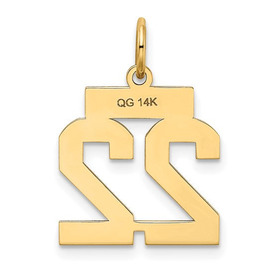 14kt Yellow Gold Small Satin Number 22 Charm