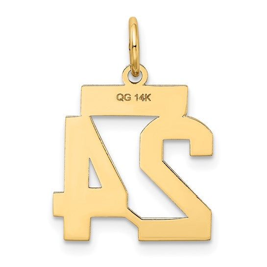 14kt Yellow Gold Small Satin Number 24 Charm