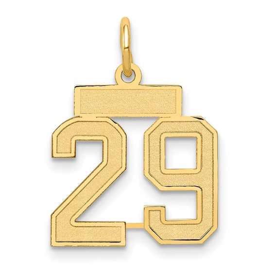 14kt Yellow Gold Small Satin Number 29 Charm