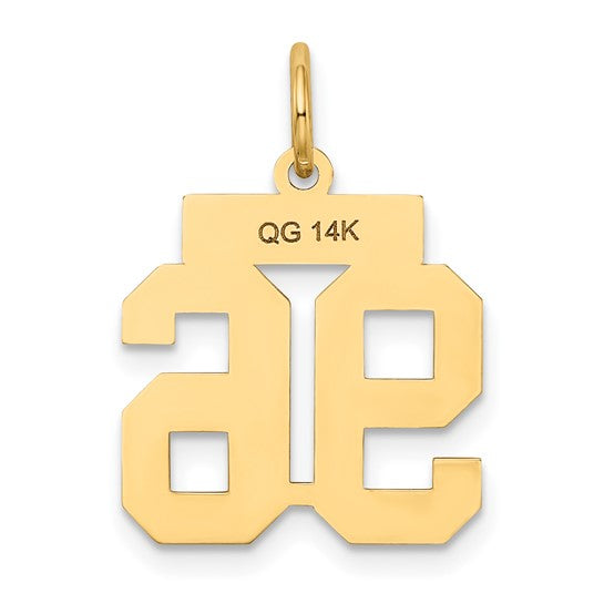 14kt Yellow Gold Small Satin Number 96 Charm