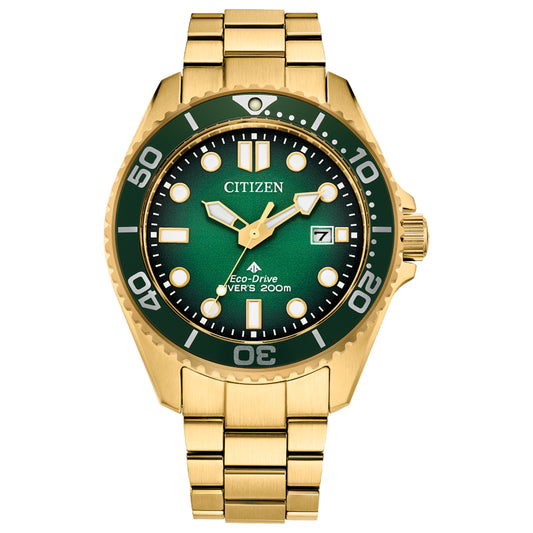 Mens Promaster Dive Citizen Watch