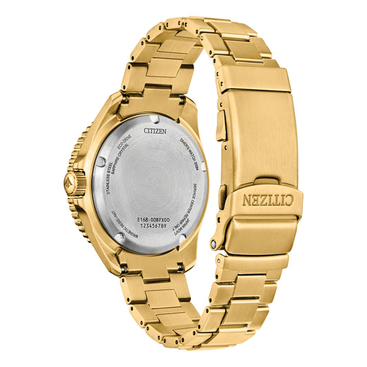 Mens Promaster Dive Citizen Watch