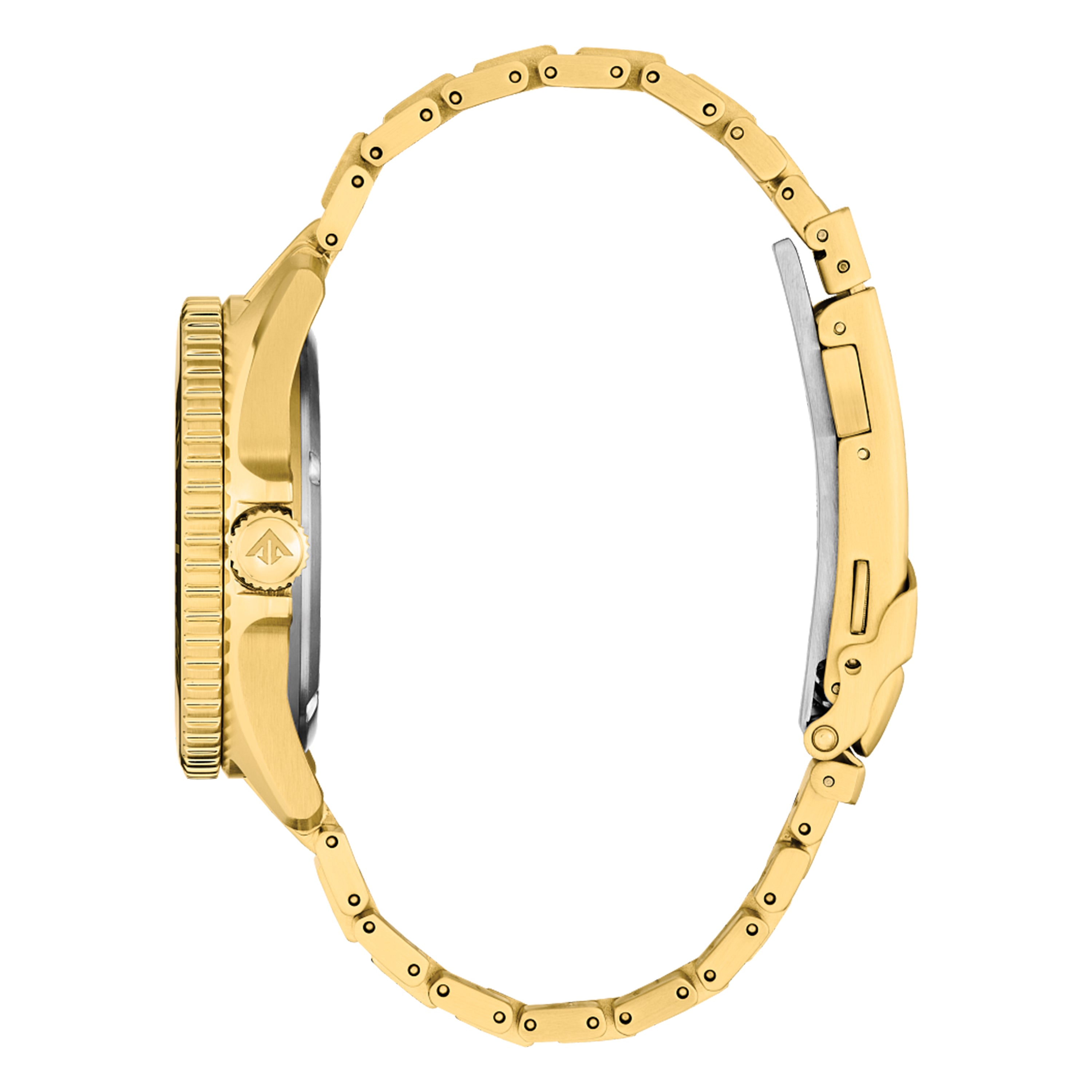 Mens Promaster Dive Citizen Watch